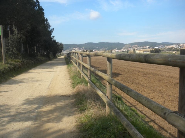 乡村小路 